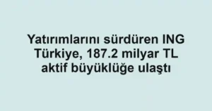 Yatırımlarını sürdüren ING Türkiye, 187.2 milyar TL aktif büyüklüğe ulaştı